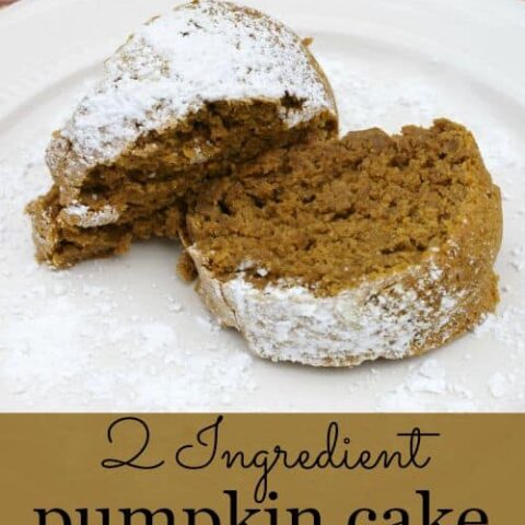 2 Ingredient Pumpkin Cake