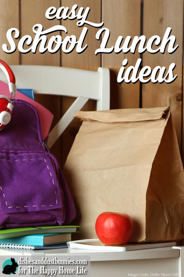 Creating a delicious and tasty school lunch doesn't have to be difficult. In this post I'll give you some easy lunch ideas you can use at home with your kids!