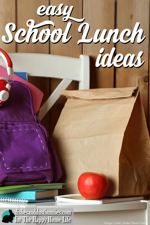 Creating a delicious and tasty school lunch doesn't have to be difficult. In this post I'll give you some easy lunch ideas you can use at home with your kids!