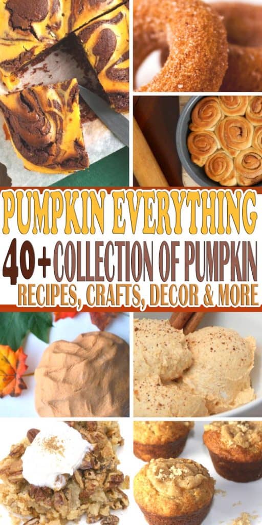 Pumpkin Everything - The Happy Home Life