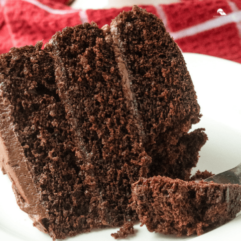 Decadent Chocolate Layer Cake