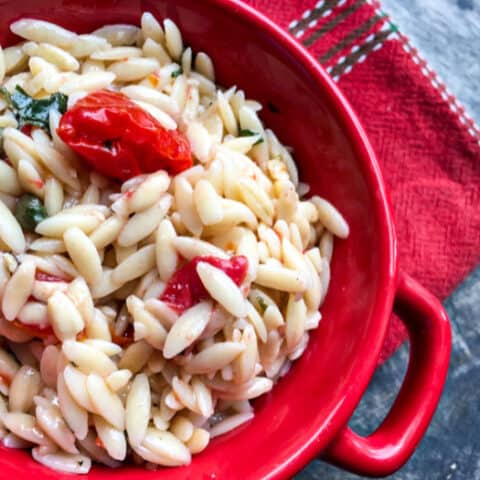 Vegan Orzo Pasta Salad