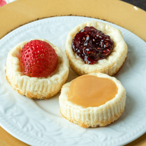 Crustless Mini Bite-Sized Cheesecake