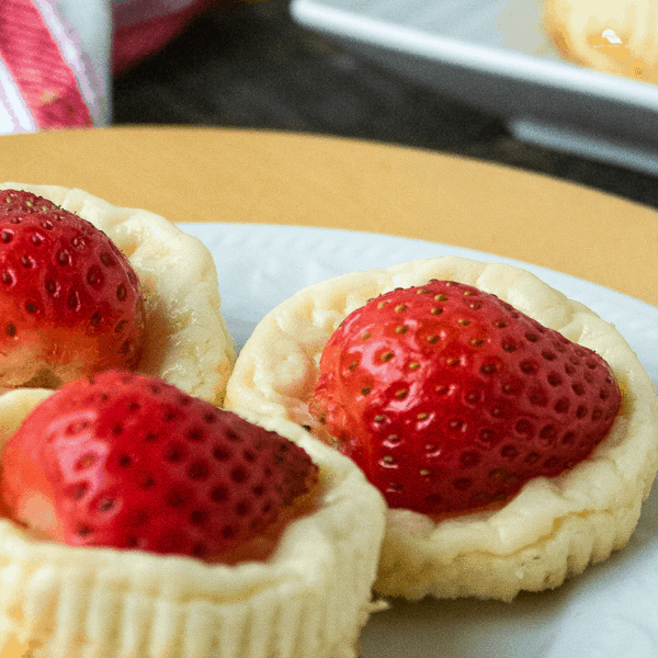 Crustless Mini Bite-Sized Cheesecake