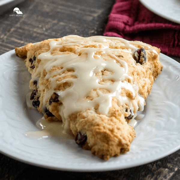 Festive Orange Cranberry Scones