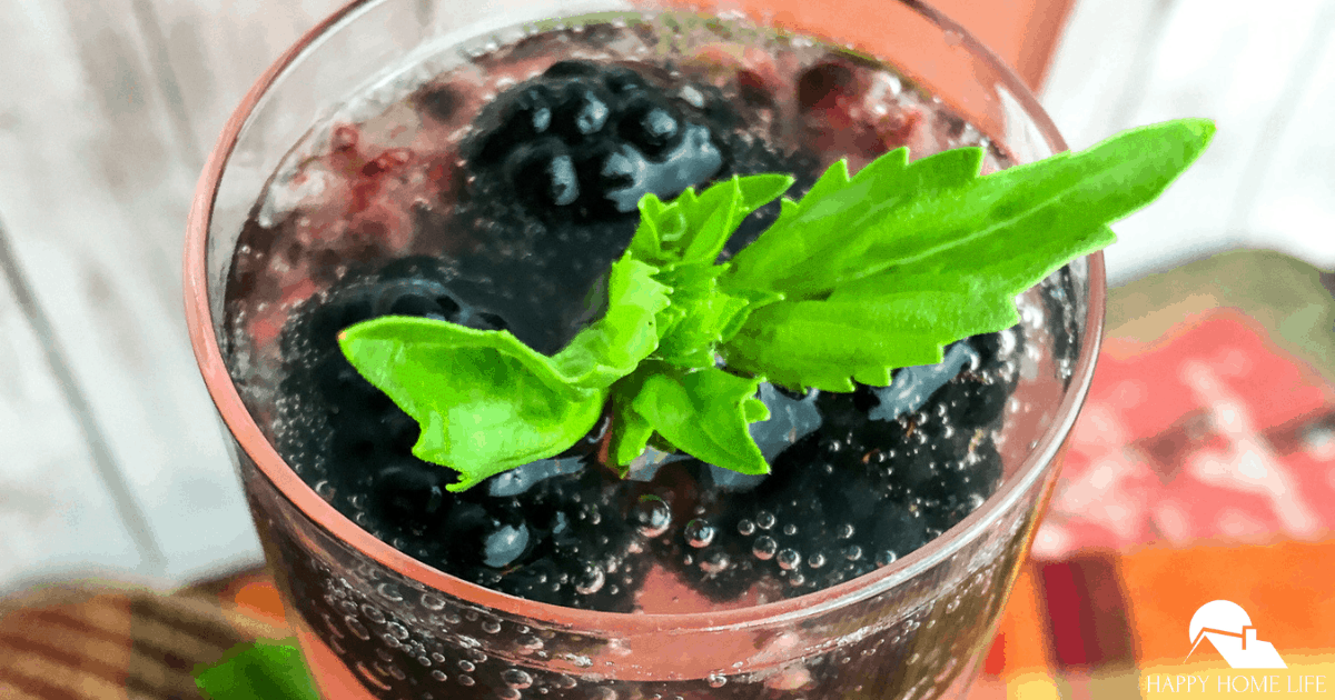 Sparkling Blueberry Maple Lemonade - The Happy Home Life