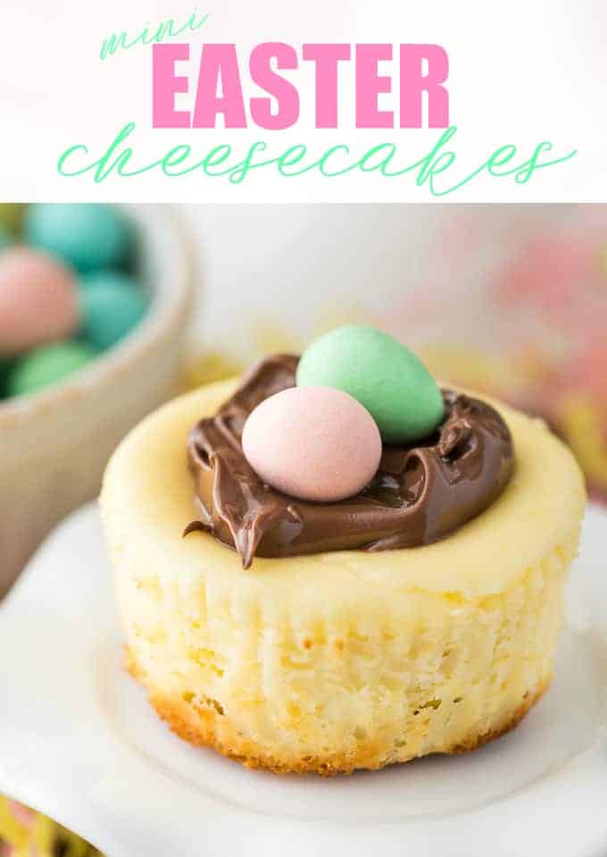 mini cheesecakes topped with chocolate and jellybeans or chocolate eggs