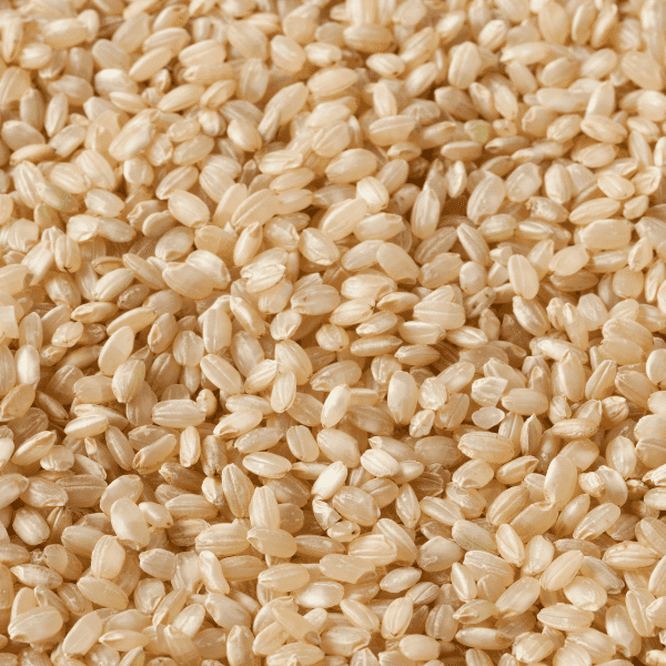 Short Grain Brown Rice