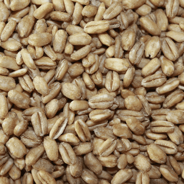 Farro