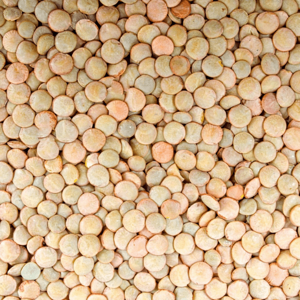 lentils