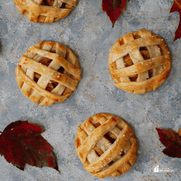 a close up photo of Apple pie cookies