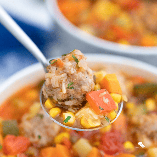 an image of meatball soup 