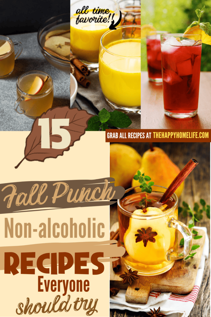 Collage of Fall Punch Recipes Non-Alcoholic