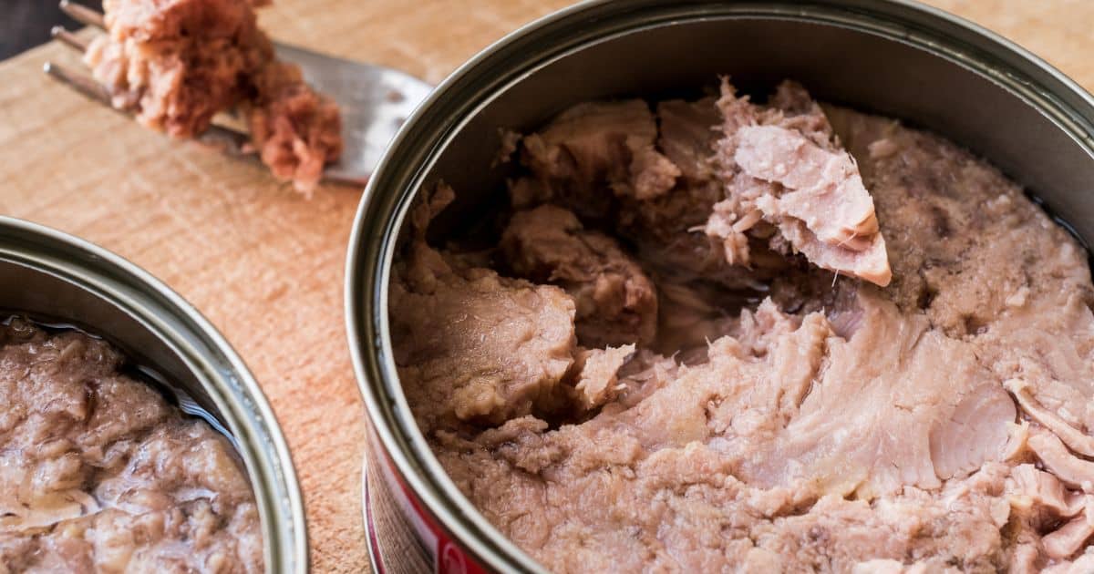 How Long Does Tuna Last? The Happy Home Life