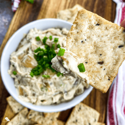 Caramelized Onion Dip square sized image