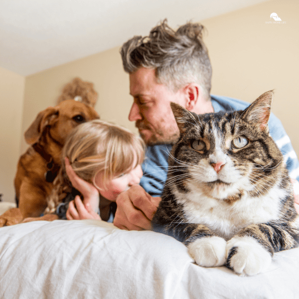 Is Your Family Ready for a Pet?