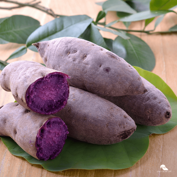 An image of a classic boiled purple yam.