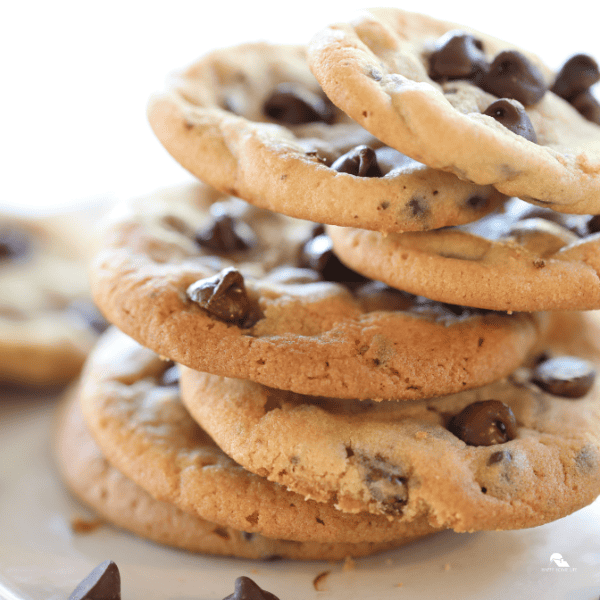 an image of Chocolate Chip Cookies