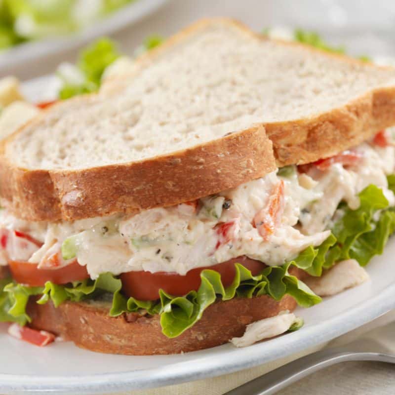 chicken salad sandwich on white plate