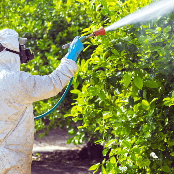 someone using spray for pest control