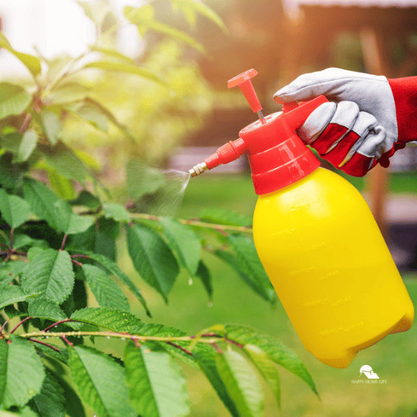Gardener spraying tree against pests