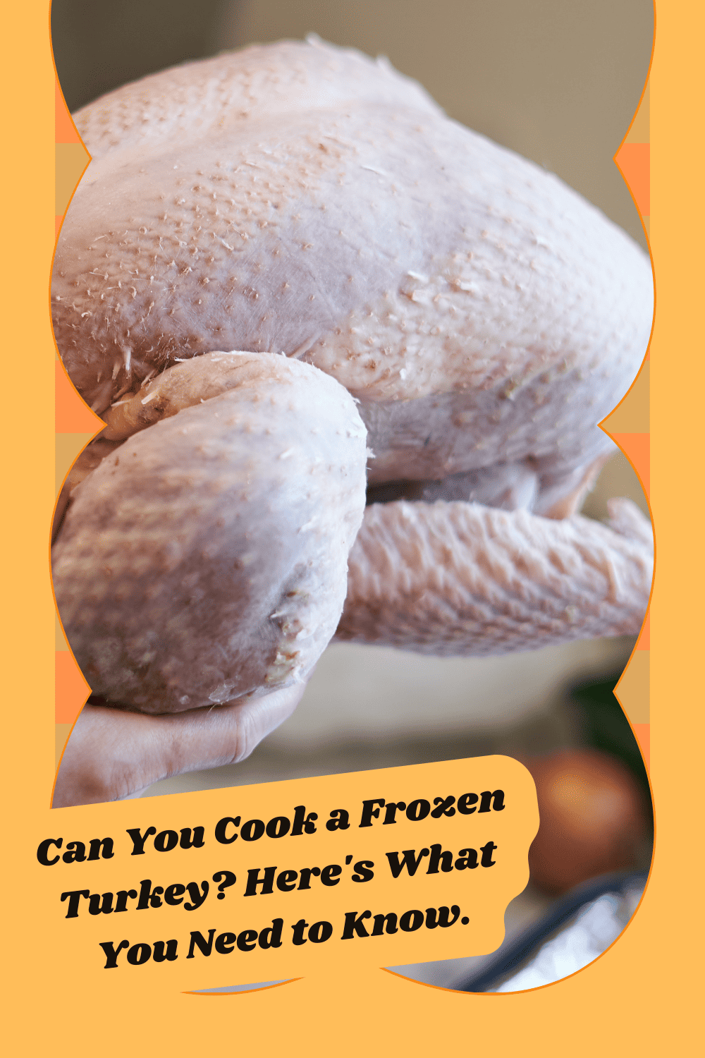 Can You Cook a Frozen Turkey Without Thawing It? The Happy Home Life