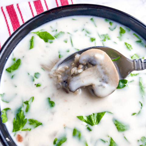 close up image of Creamy Wild Rice and Mushroom Soup