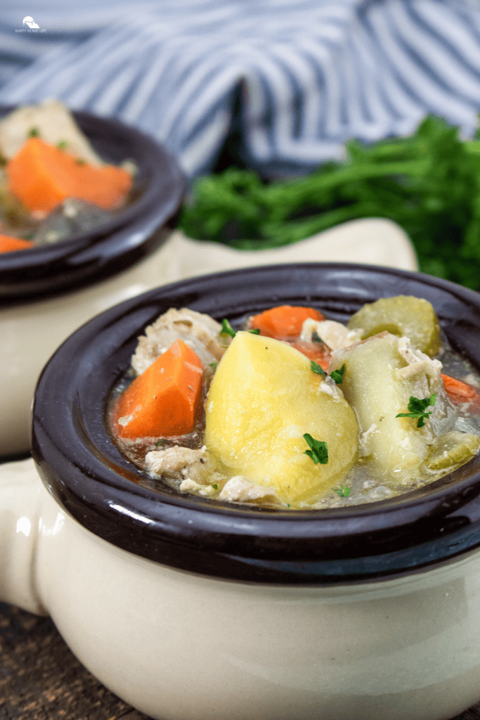 Slow Cooker Chicken & Vegetable Stew in a bowl