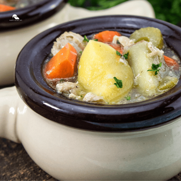 close up image of Slow Cooker Chicken & Vegetable Stew in a bowl