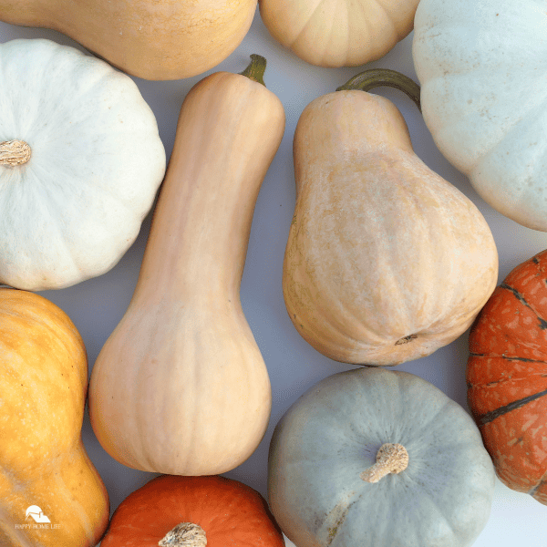 An image of different winter squash varieties.