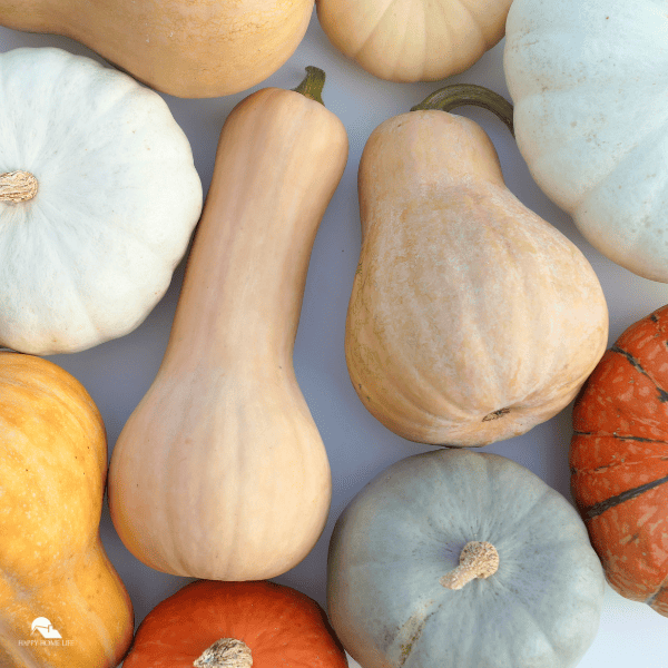 Winter Squash Freezing Tips: The Complete Guide to Preserving Squash for Months