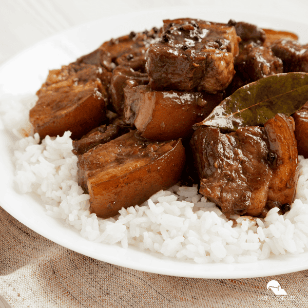 A Pork Adobo recipe