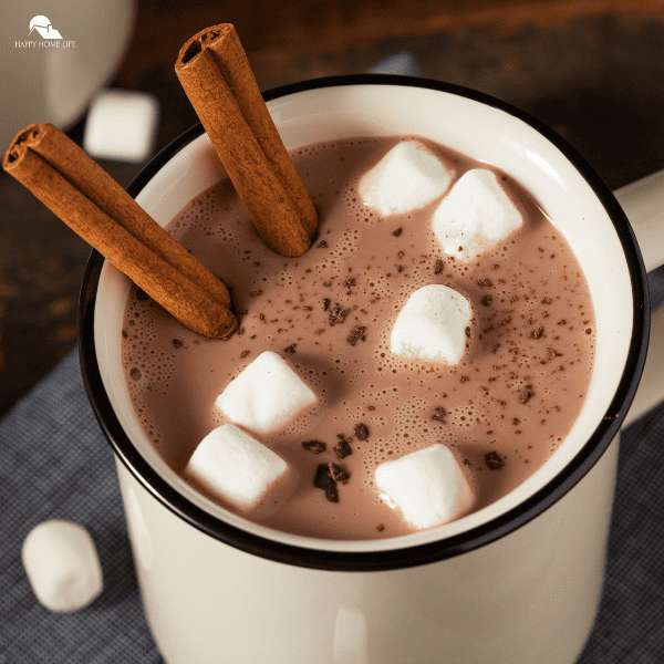 An image of Gourmet Hot Chocolate Milk