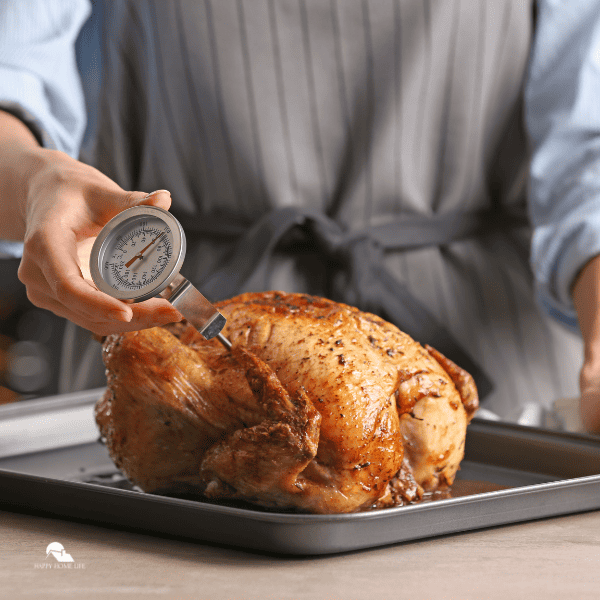 Woman Measuring Temperature of Whole Roasted Turkey with Meat Thermometer