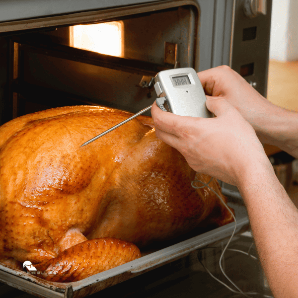 Turkey in oven with meat thermometer