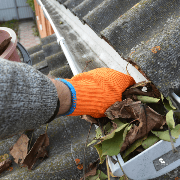Roof gutter cleaning