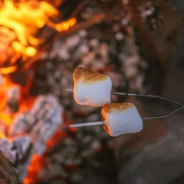 roasting marshmallows over a fire