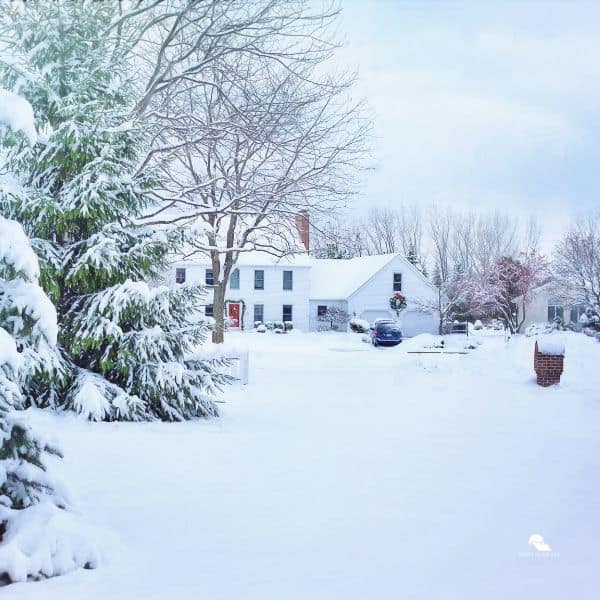 Snowy Day at Residential Neighborhood