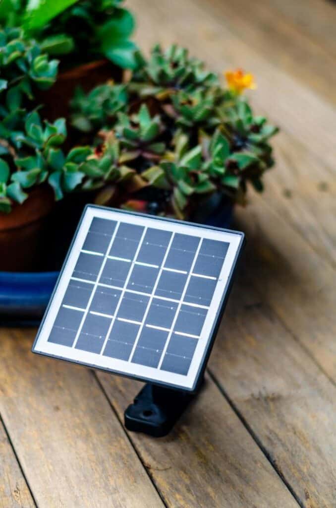 solar panel beside potted plants