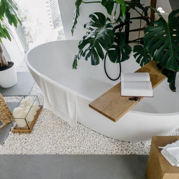 bathroom interior decorated with green plants